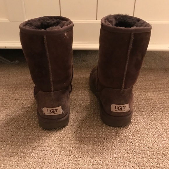 Chocolate short UGGS size 7 - Picture 2 of 2